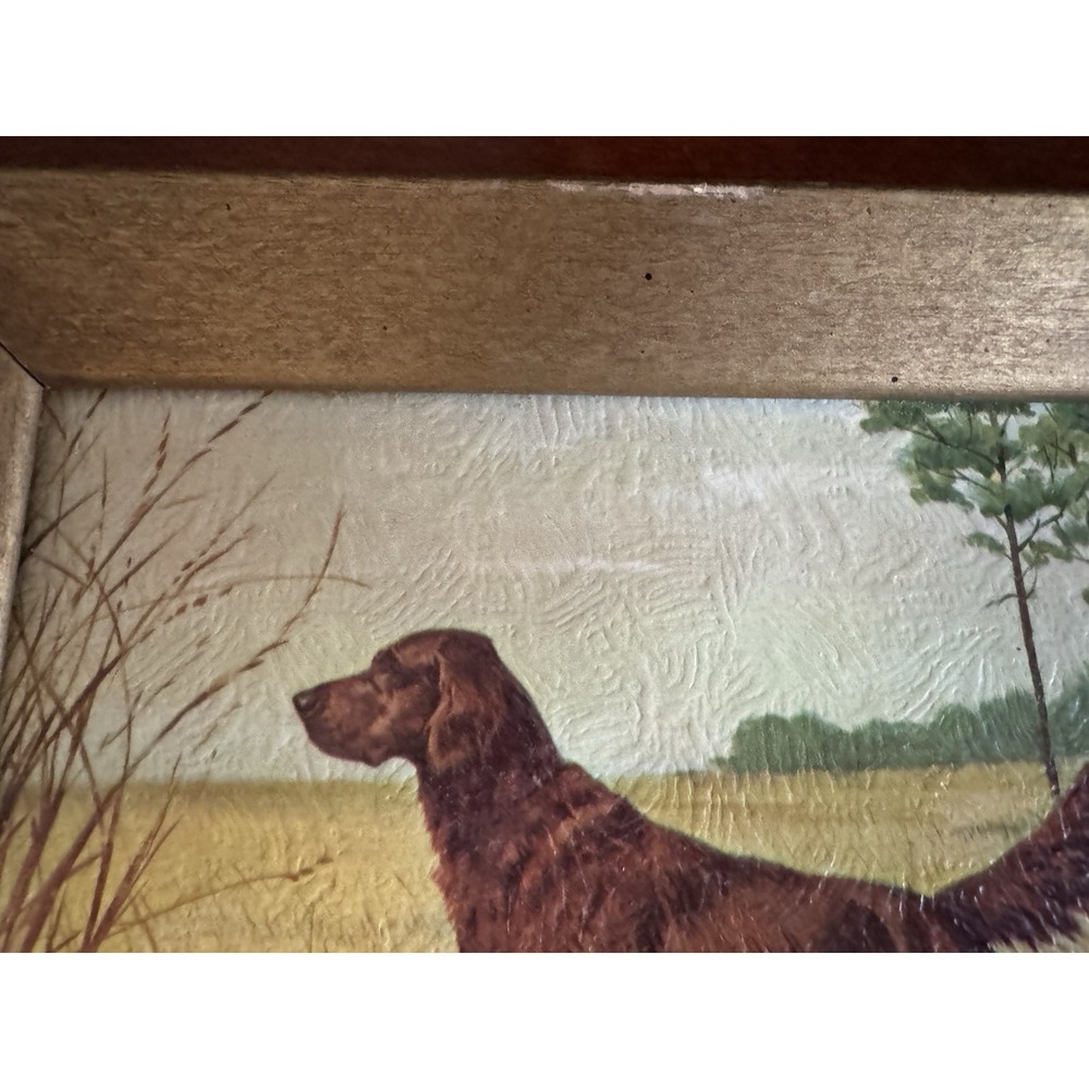 Vintage Irish Setter Dog Prints - Pair of 8.5x7" Gold Wood Framed Sheffield Art - Picture 6 of 6